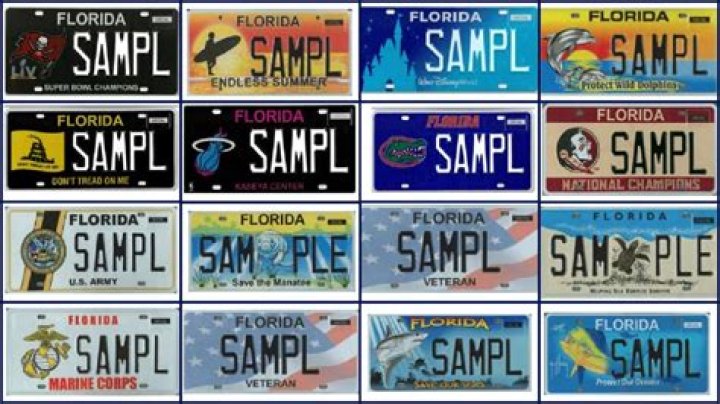 Can you have out-of-state plates in Florida?