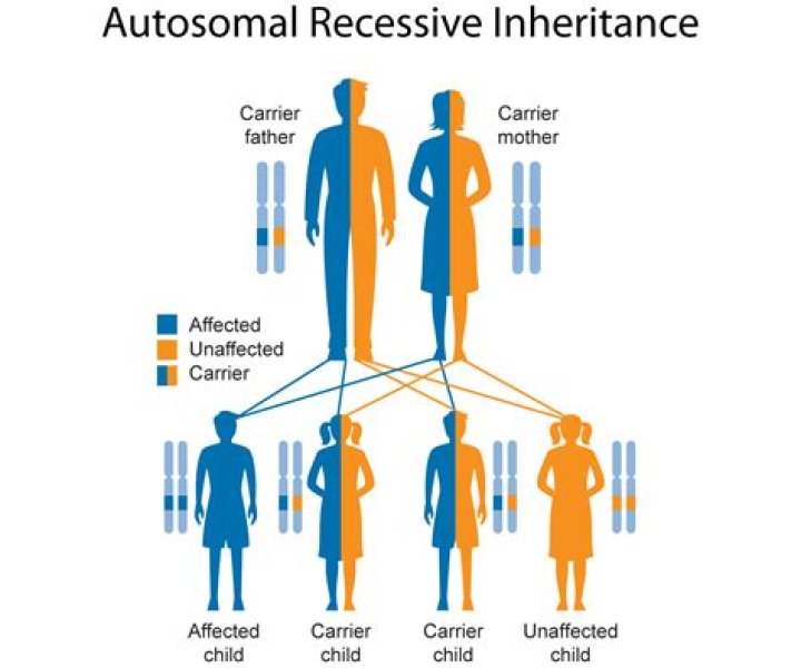 Can you inherit anxiety from your parents?