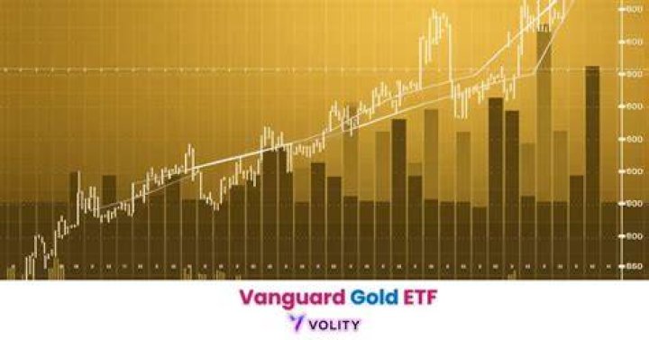 Can you invest in gold with Vanguard?