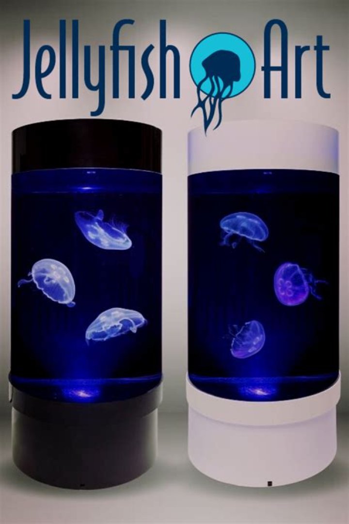Can you keep jellyfish as a pet?
