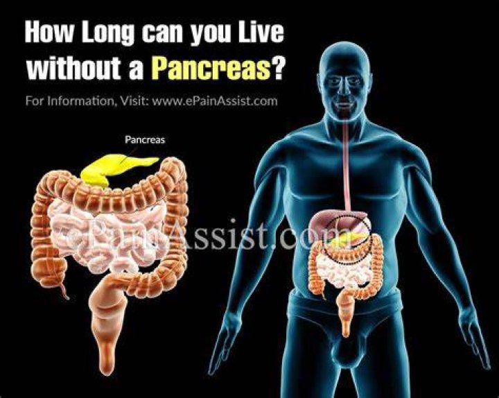 Can you live without your pancreas?