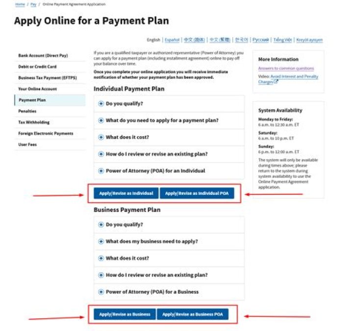 Can you make extra payments on IRS payment plan?