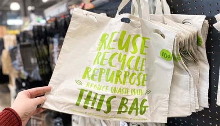 Can you make money selling reusable bags?