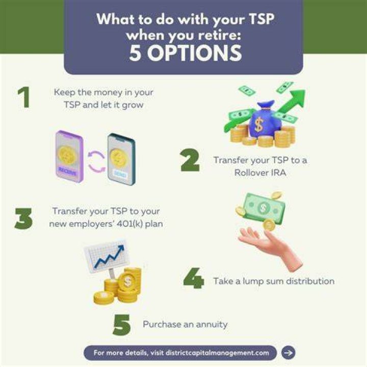 Can you manually add money to TSP?
