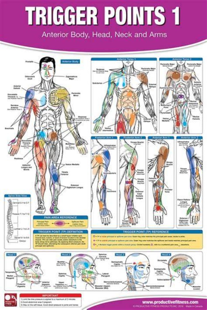 Can you massage out myofascial trigger points?
