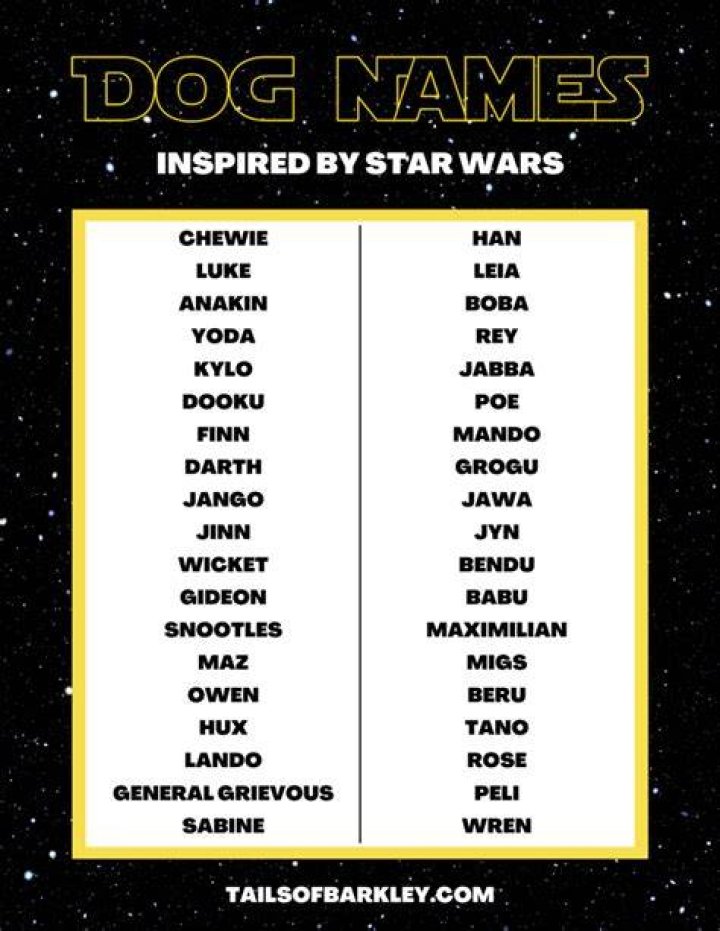 Can you name a dog star?