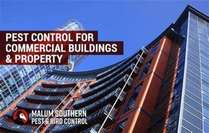 Can you own and live in a rental building?