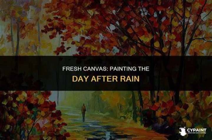 Can you paint outside the day after it rains?