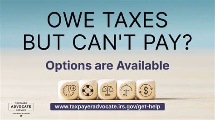 Can you pay taxes you owe monthly?
