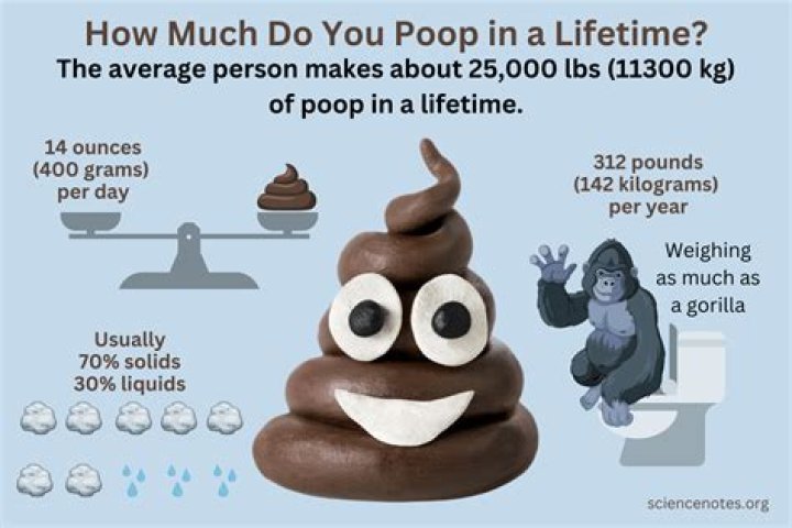 Can you poop in ocean?