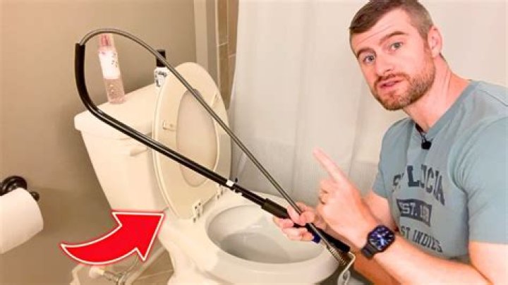 Can you put a snake through the toilet?