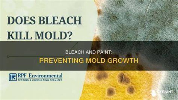 Can you put bleach in paint to prevent mold?