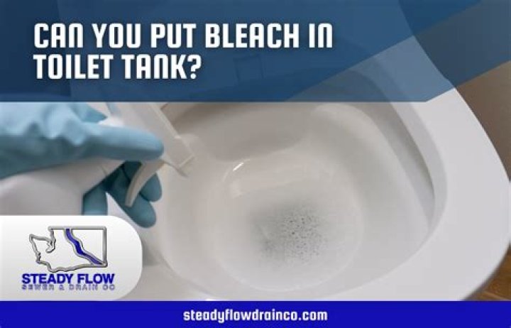 Can you put bleach in the toilet tank to clean it?