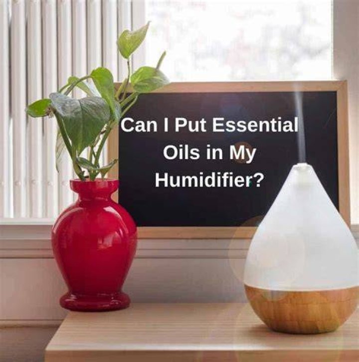 Can you put eucalyptus oil in Vicks humidifier?