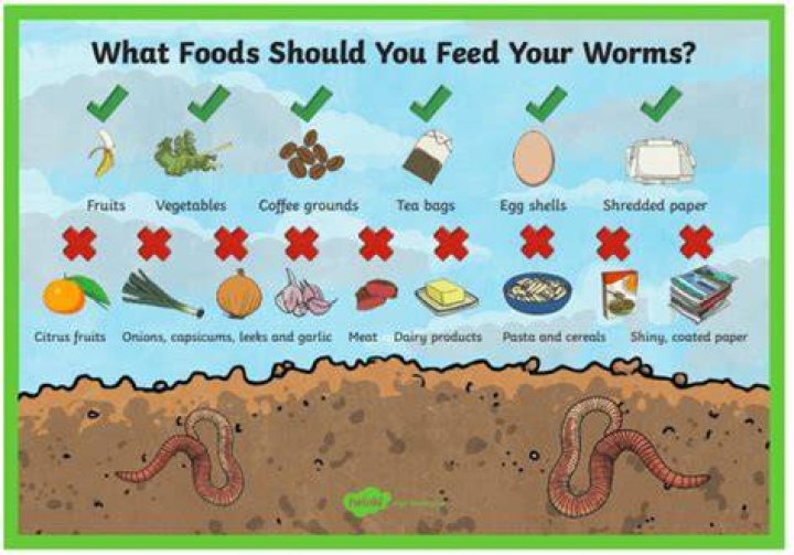 Can you put flour in worm farm?