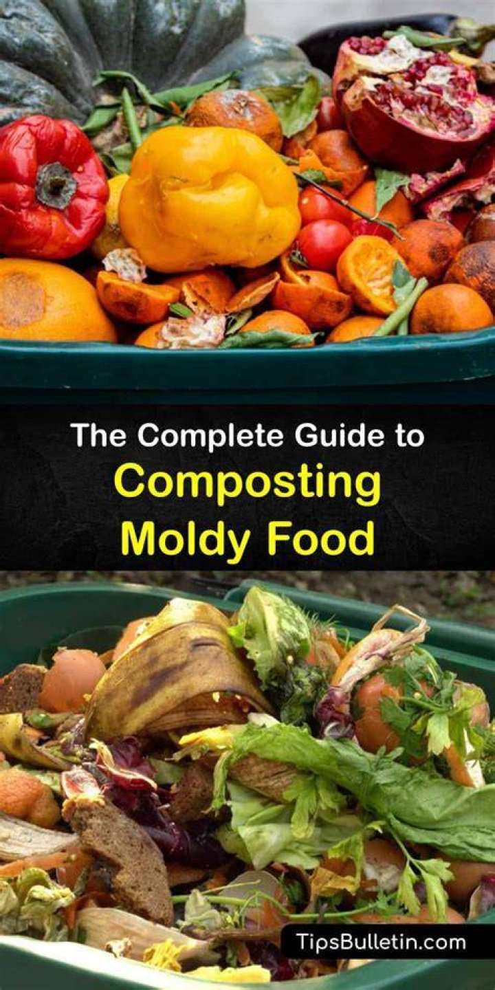 Can you put moldy food in compost?