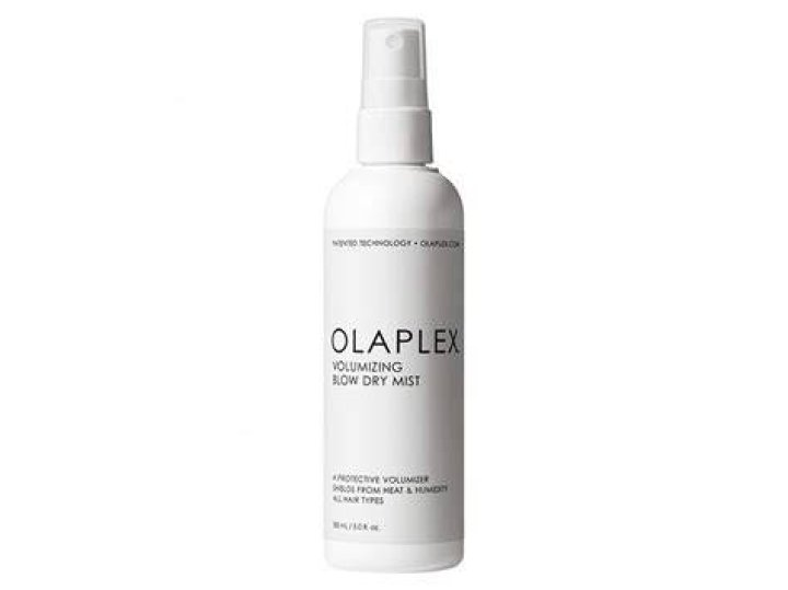 Can you put Olaplex 2 on dry hair?