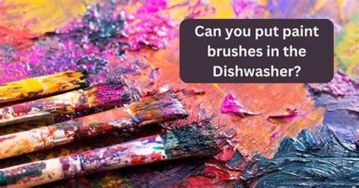 Can you put paint brushes in the dishwasher?