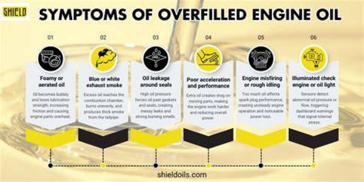 Can you put too much oil in the oven?