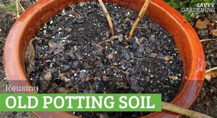 Can you reuse potting soil?