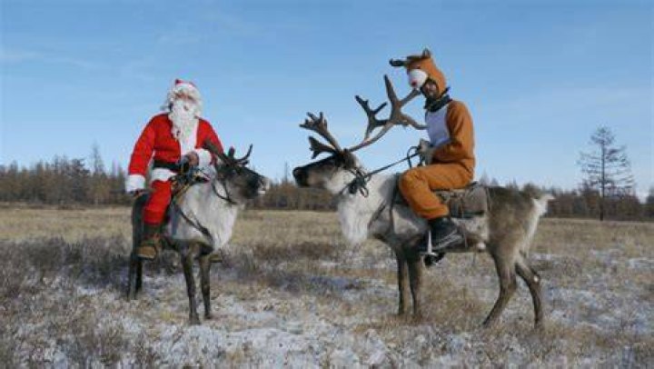 Can you ride a deer?