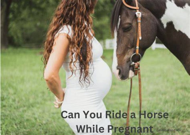 Can you ride a pregnant horse?