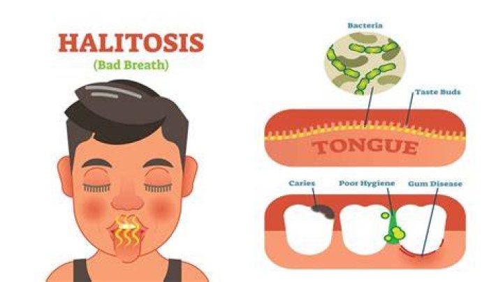 Can you smell your own halitosis?
