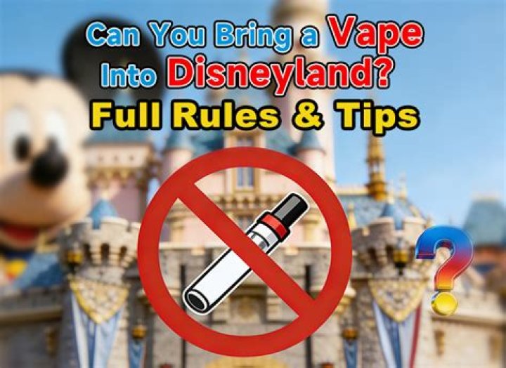 Can you sneak a vape pen into Disneyland?