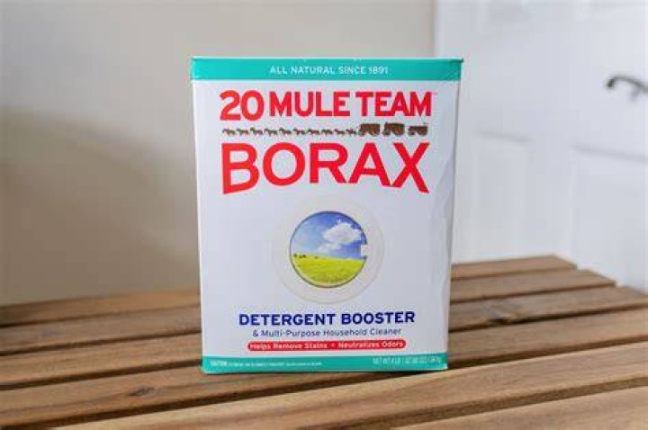 Can you still buy borax?