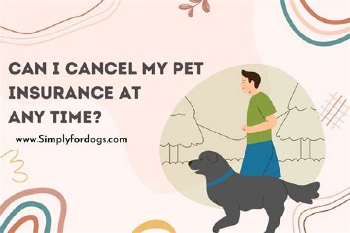 Can you stop pet insurance at any time?