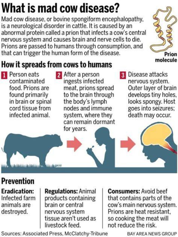 Can you survive mad cow disease?