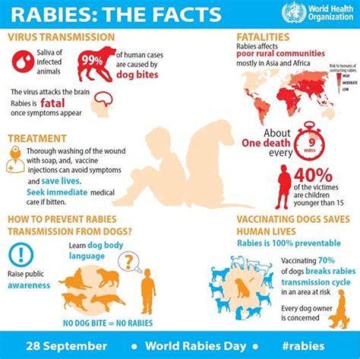 Can you survive rabies without a vaccine?