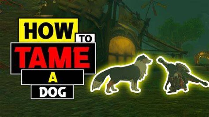 Can you tame dogs in Breath of the Wild?