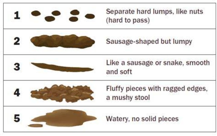 Can you throw out poop?