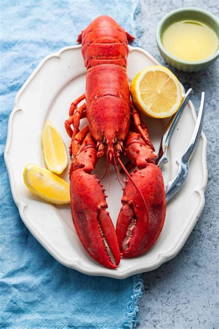 Can you train a lobster?