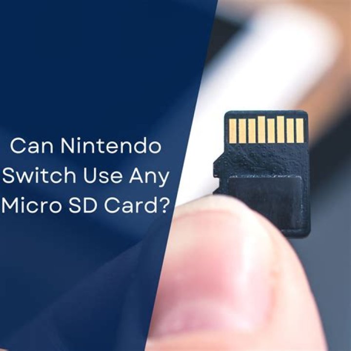 Can you use any microSD card for the Switch?