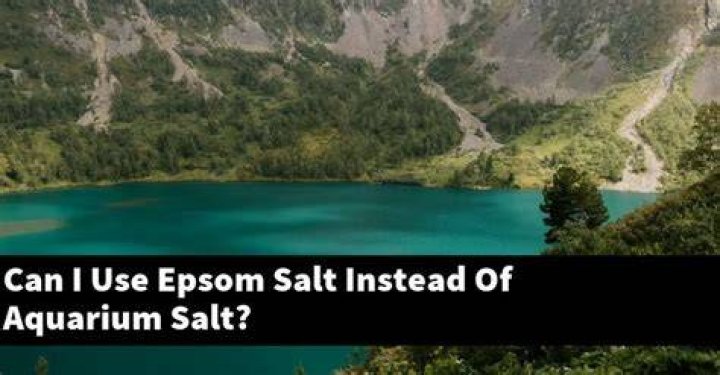 Can you use aquarium salt instead of Epsom salt?