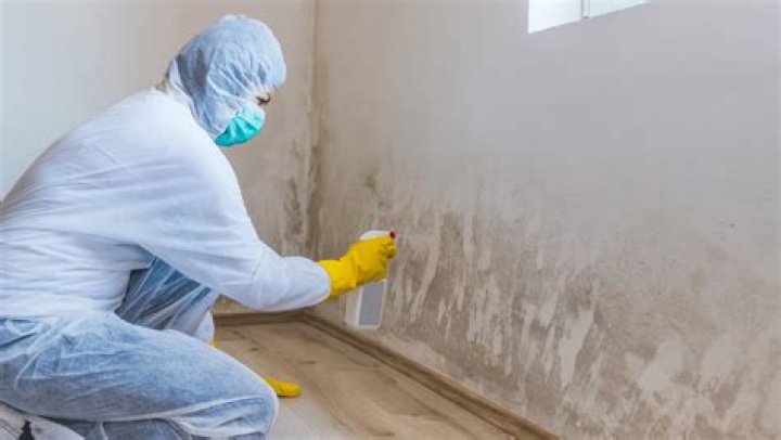 Can you write off mold remediation?