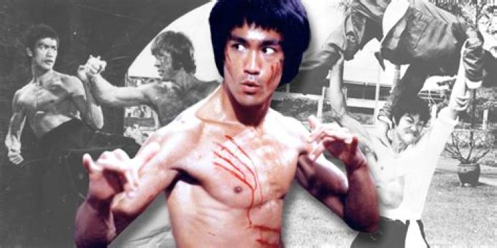 Did Bruce Lee use karate?