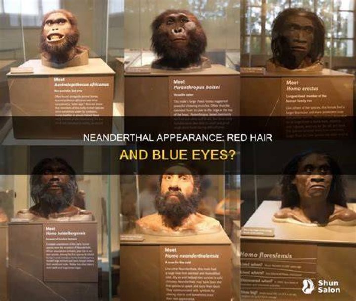Did Neanderthals have red hair?