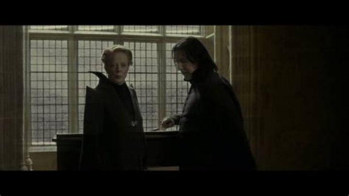 Did Voldemort know Snape was a half blood?