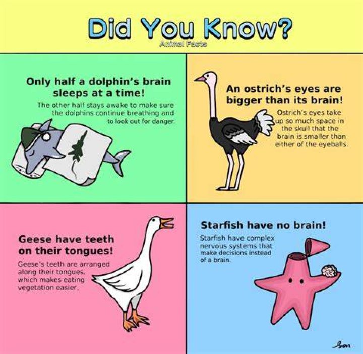 Did you know facts about disabilities?
