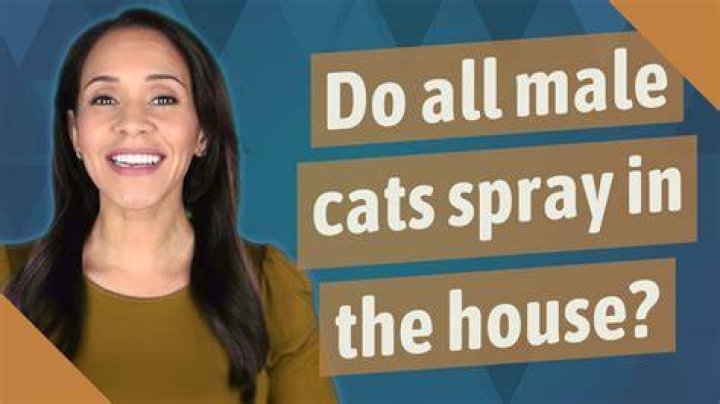 Do all male cats spray in the house?