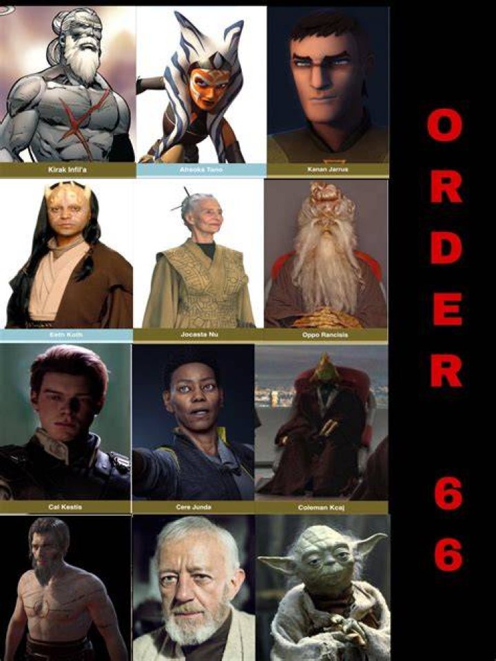 Do any Jedi survived Order 66?