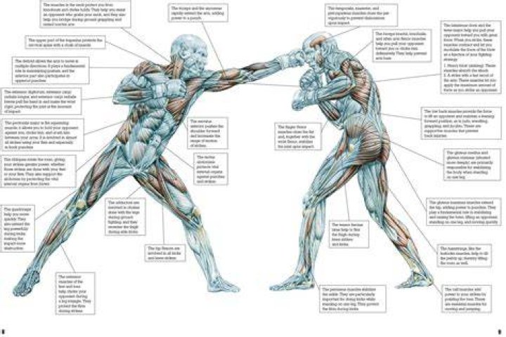 Do body punches hurt?