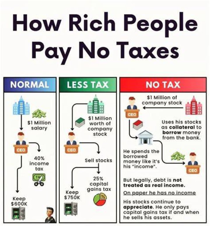 Do businesses pay taxes if they lose money?