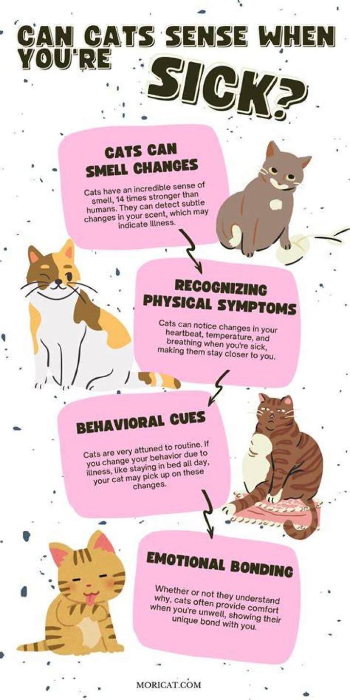 Do cats know when you are sick?
