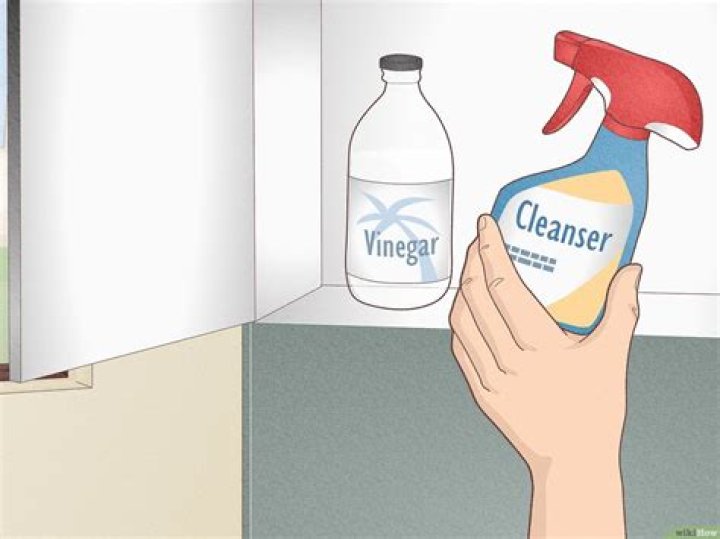 Do cats like white vinegar?