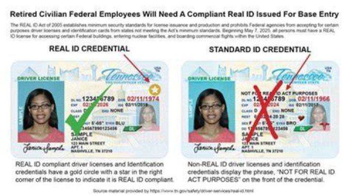 Do Dependants not get stimulus checks?