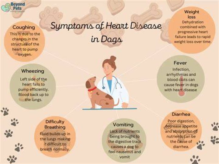 Do dogs get heart broken?